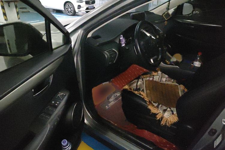 Used Lexus NX 2020 200 Front-Wheel Drive Freeline Edition China VI Standard Driver Seat
