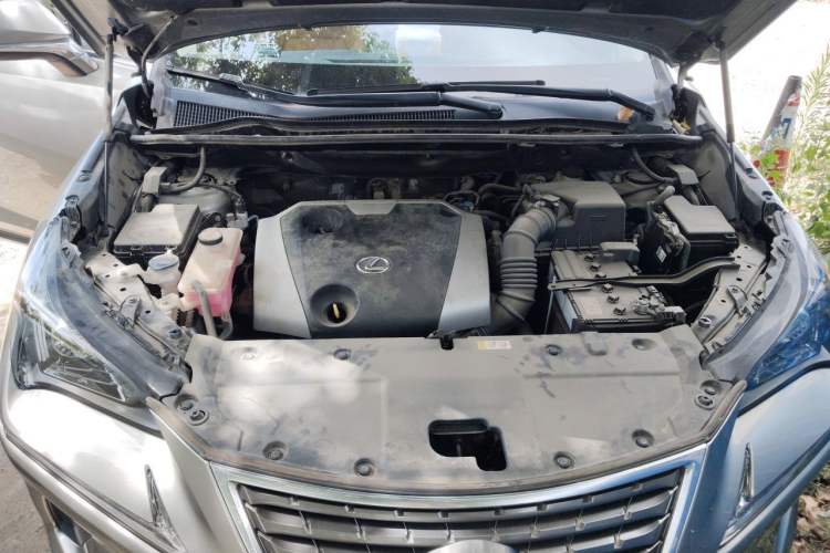 Used Lexus NX 2020 200 Front-Wheel Drive Vmotion Edition China VI Standard Engine Bay
