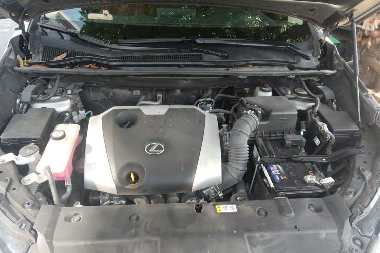 Used Lexus NX 2020 200 All-Wheel Drive Fēngshàng Version China V Standard Engine Bay