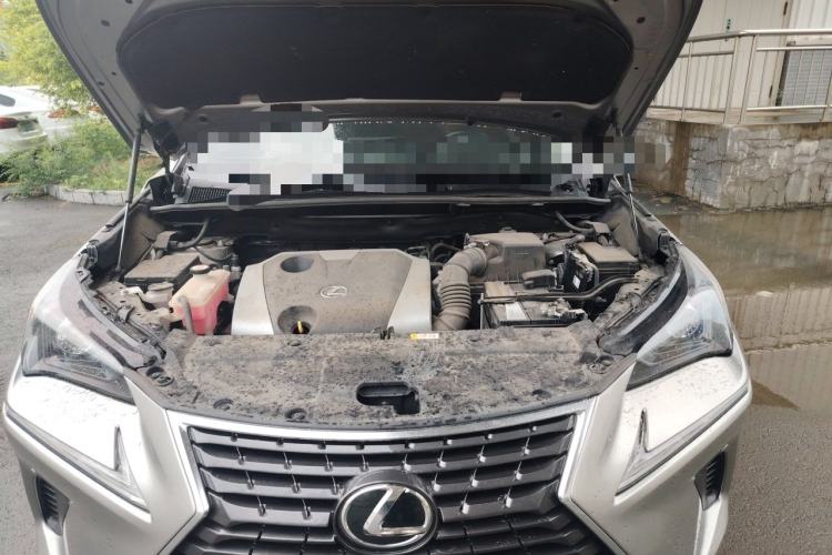 Used Lexus NX 2020 200 Front-Wheel Drive Freeline Edition China VI Standard Engine Bay