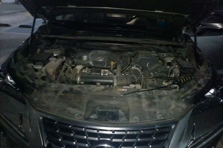 Used Lexus NX 2020 300 Front-Wheel-Drive Frenza Edition China V Standard Engine Bay