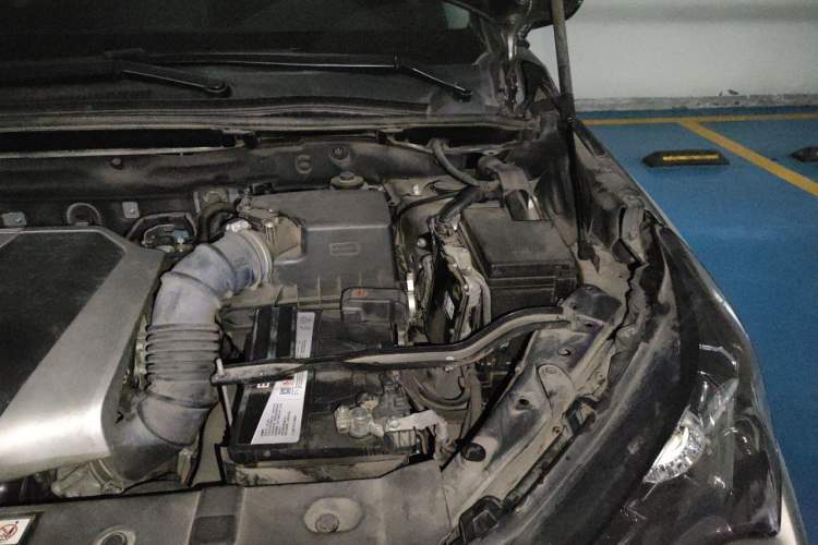 Used Lexus NX 2020 200 Front-Wheel Drive Freeline Edition China VI Standard Engine Bay Left