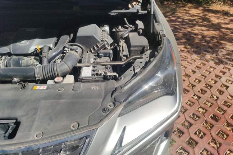 Used Lexus NX 2020 300 Front-Wheel-Drive Frenza Edition China V Standard Engine Bay Left