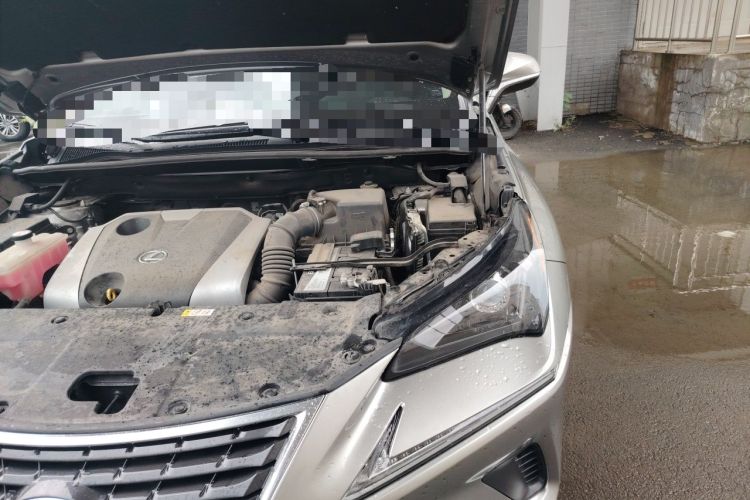 Used Lexus NX 2020 200 Front-Wheel Drive Freeline Edition China VI Standard Engine Bay Left