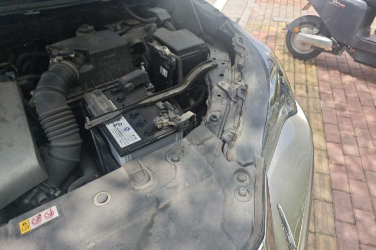 Used Lexus NX 2020 200 Front-Wheel Drive Freeline Edition China V Standard Engine Bay Left