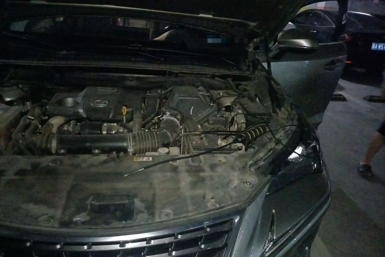 Used Lexus NX 2020 300 Front-Wheel-Drive Frenza Edition China V Standard Engine Bay Left