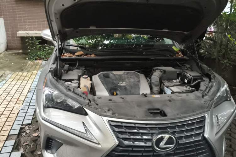 Used Lexus NX 2020 200 Front-Wheel Drive Freeline Edition China VI Standard Engine Bay Right