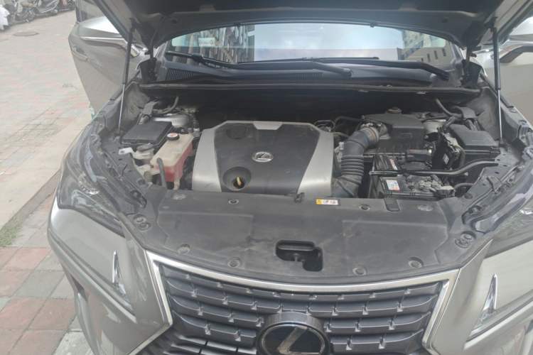 Used Lexus NX 2020 200 All-Wheel Drive Fēngshàng Version China V Standard Engine Bay Right