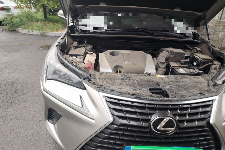 Used Lexus NX 2020 200 Front-Wheel Drive Freeline Edition China VI Standard Engine Bay Right