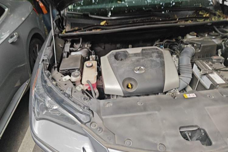 Used Lexus NX 2020 200 All-Wheel Drive Fēngshàng Version China VI Standard Engine Bay Right