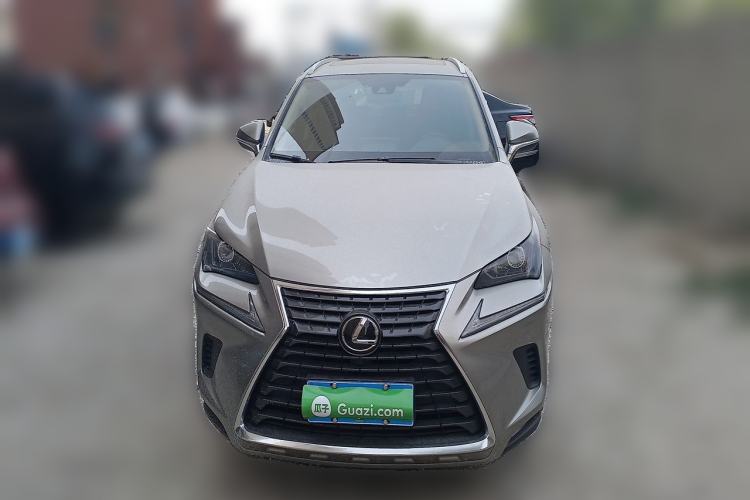 Used Lexus NX 2020 200 All-Wheel Drive Fēngshàng Version China VI Standard Exterior 1