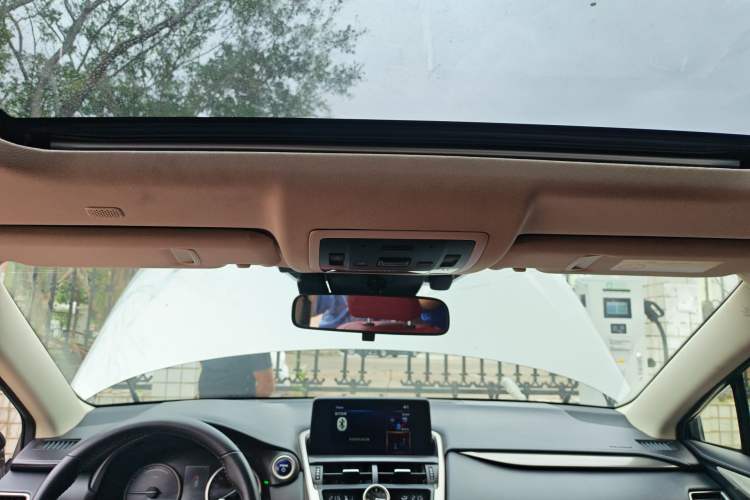 Used Lexus NX 2020 300h Front-Drive FENGSHANG Version China VI Standard Headliner