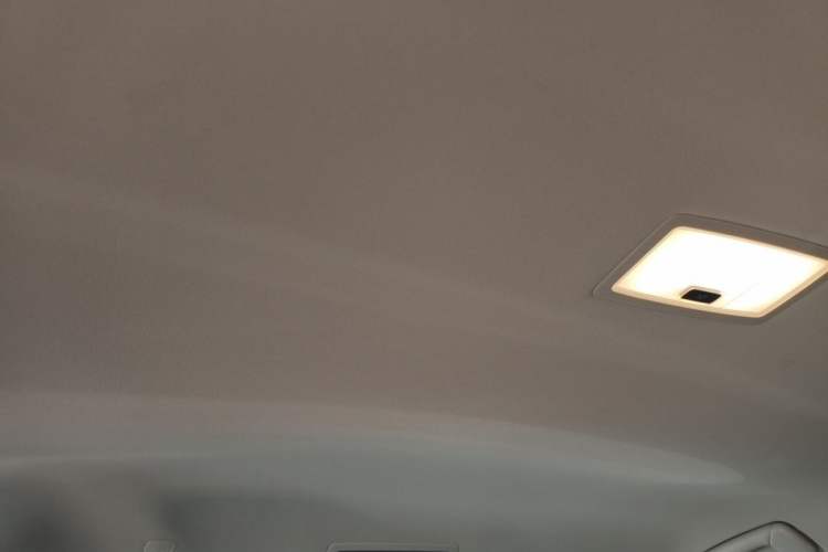 Used Lexus NX 2020 200 Front-Wheel Drive Freeline Edition China VI Standard Headliner