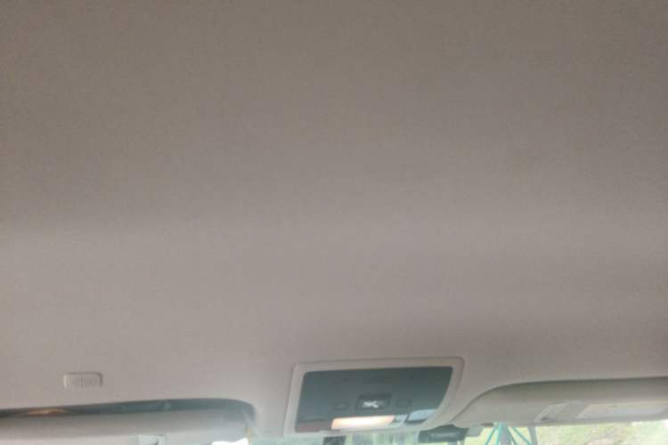 Used Lexus NX 2020 200 Front-Wheel Drive Freeline Edition China VI Standard Headliner