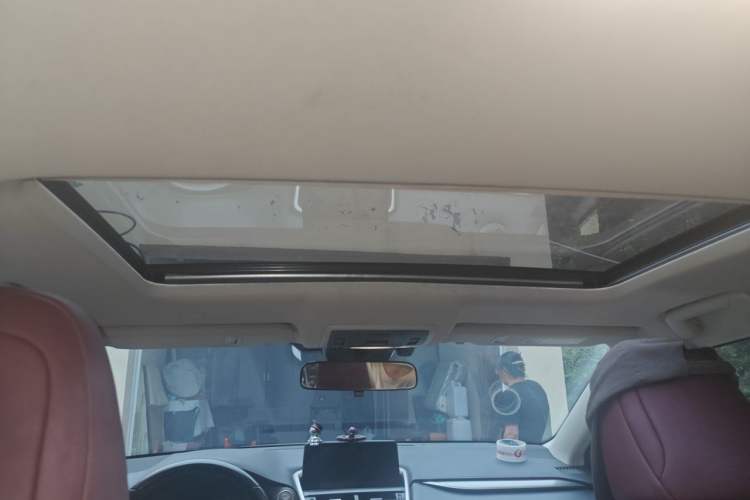 Used Lexus NX 2020 200 All-Wheel Drive Fēngshàng Version China V Standard Headliner