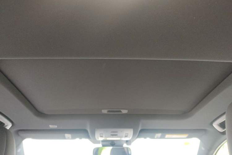 Used Lexus NX 2020 300h Front-Drive Fēngyuè Version China VI Standard Headliner