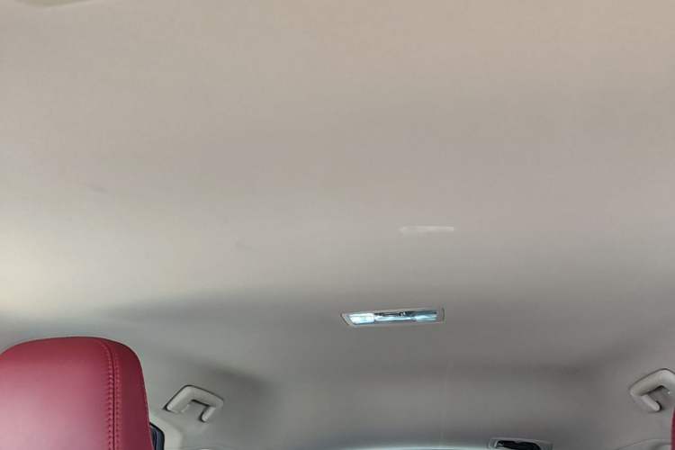 Used Lexus NX 2020 200 Front-Wheel Drive Freeline Edition China VI Standard Headliner