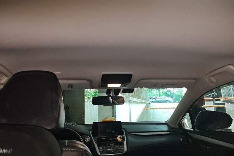 Used Lexus NX 2020 200 Front-Wheel Drive Freeline Edition China V Standard Headliner