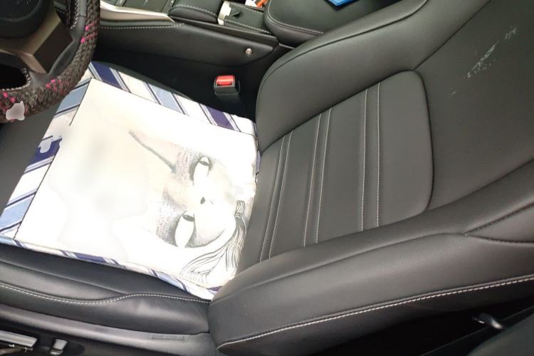 Used Lexus NX 2020 200 Front-Wheel Drive Vmotion Edition China VI Standard Left Front Seat