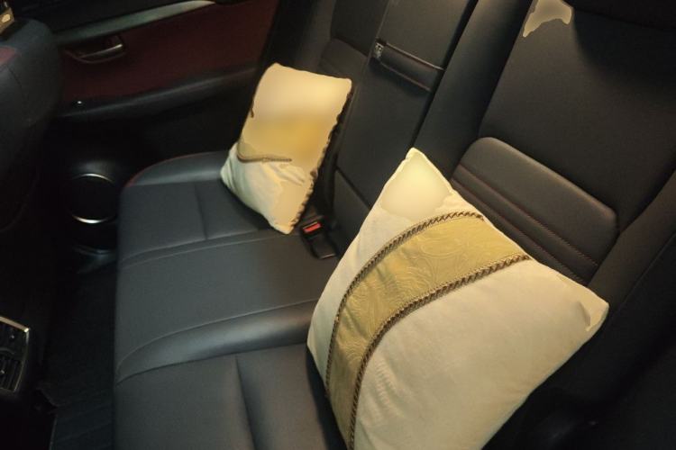 Used Lexus NX 2020 300h Front-Wheel Drive Smart Hybrid Special Limited Edition Left Rear Seat