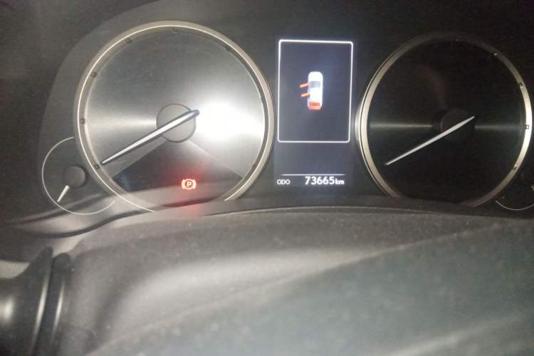 Used Lexus NX 2020 300h Front-Drive FENGSHANG Version China VI Standard Odometer Close Up