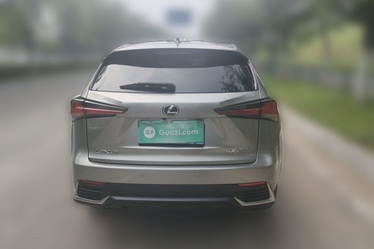Used Lexus NX 2020 200 Front-Wheel Drive Freeline Edition China VI Standard Rear