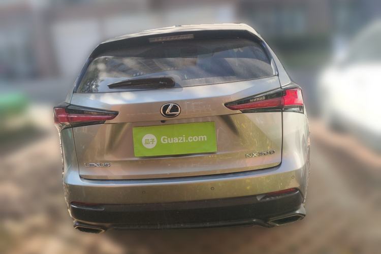 Used Lexus NX 2020 300 Front-Wheel-Drive Frenza Edition China V Standard Rear