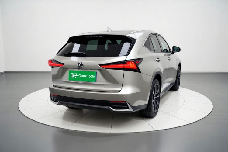 Used Lexus NX 2020 200 Front-Wheel Drive Freeline Edition China VI Standard Rear