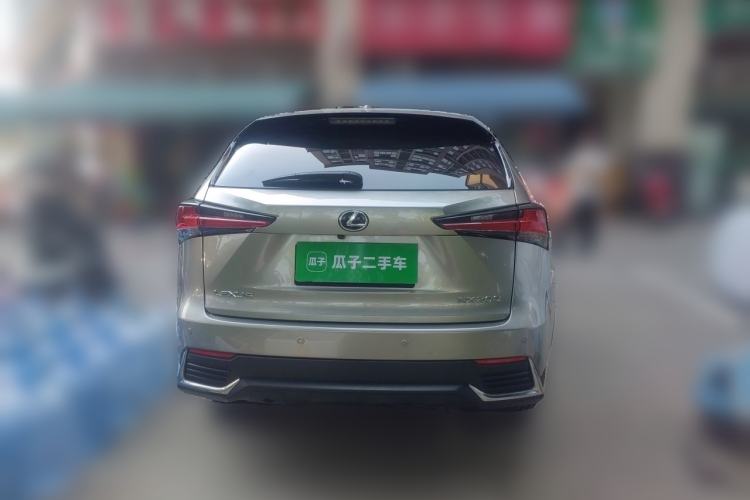 Used Lexus NX 2020 200 Front-Wheel Drive Freeline Edition China VI Standard Rear