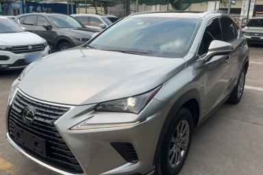 Used Lexus NX 2020 200 All-Wheel Drive Fēngshàng Version China VI Standard