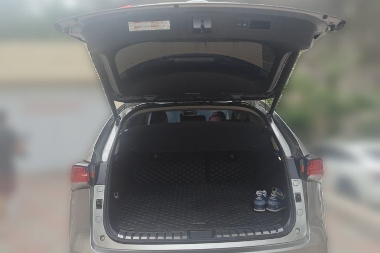 Used Lexus NX 2020 200 All-Wheel Drive Fēngshàng Version China V Standard Trunk