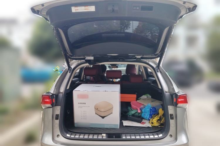 Used Lexus NX 2020 300h Front-Drive FENGSHANG Version China VI Standard Trunk