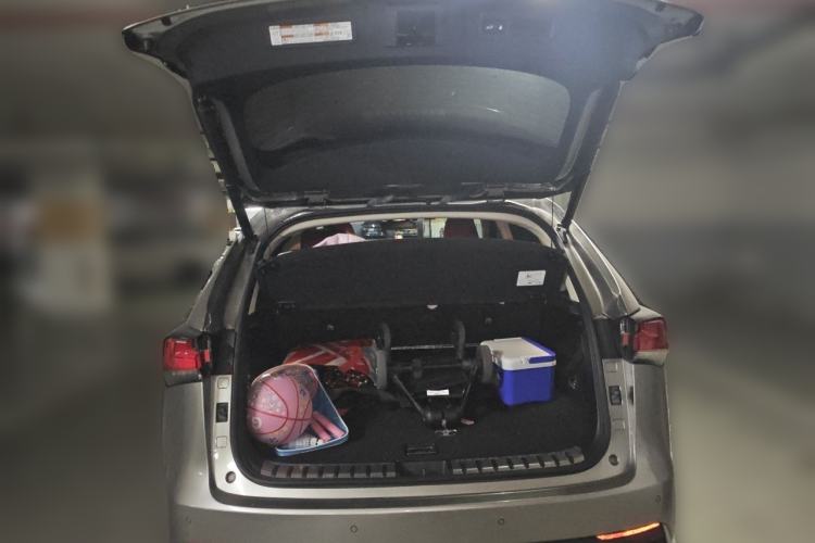 Used Lexus NX 2020 300h Front-Drive FENGSHANG Version China VI Standard Trunk