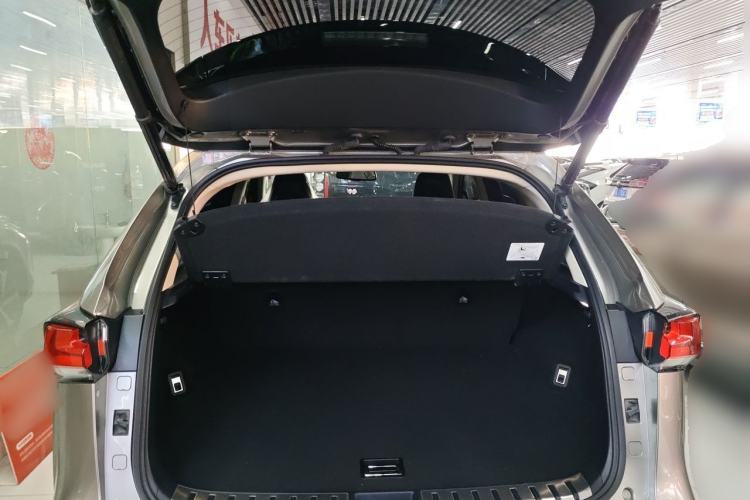 Used Lexus NX 2020 300h All-Wheel Drive FENGZHI Version China VI Standard Trunk