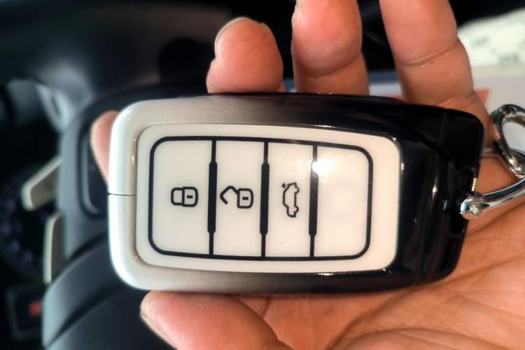 Used Lexus NX 2020 200 Front-Wheel Drive Freeline Edition China VI Standard Vehicle Key