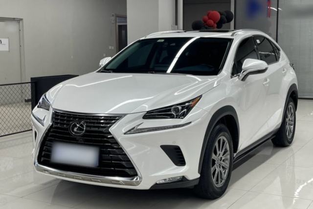 Used Lexus NX 2020 200 All-Wheel Drive Fēngshàng Version China VI Standard