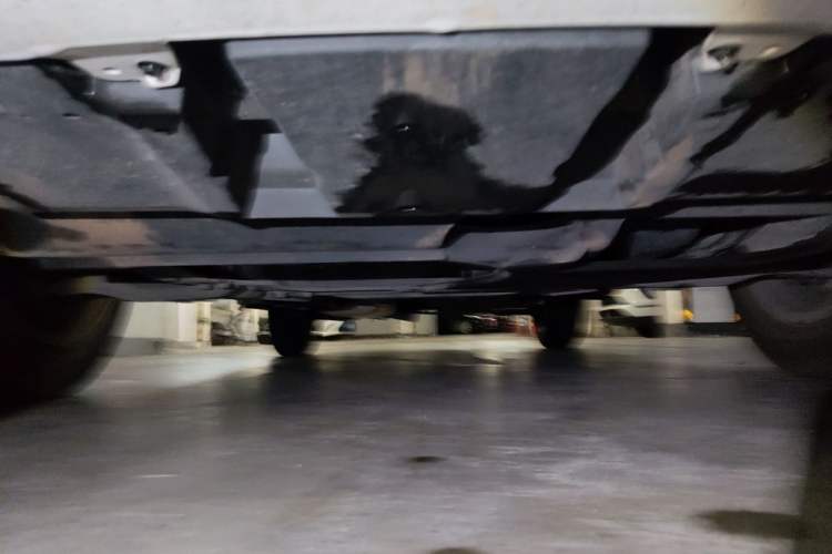 Used Lexus NX 2020 200 Front-Wheel Drive Vmotion Edition China VI Standard Chassis Front
