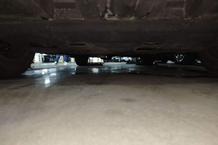Used Lexus NX 2020 300h Front-Drive FENGSHANG Version China V Standard Chassis Front
