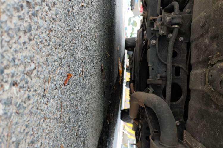 Used Lexus NX 2020 300h Front-Drive FENGSHANG Version China V Standard Chassis Rear