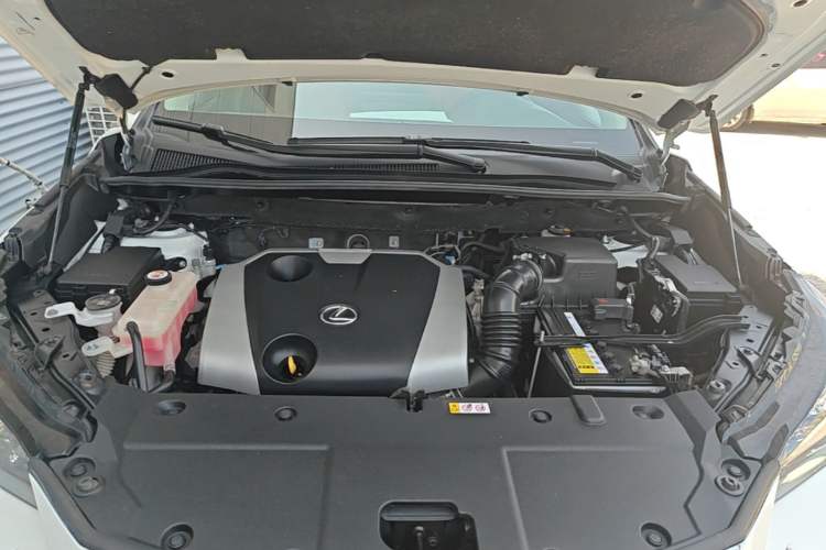 Used Lexus NX 2020 200 All-Wheel Drive Fēngshàng Version China VI Standard Engine Bay