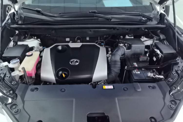 Used Lexus NX 2020 200 Front-Wheel Drive Freeline Edition China VI Standard Engine Bay
