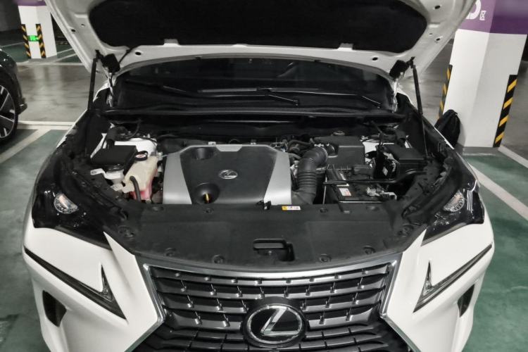 Used Lexus NX 2020 200 Front-Wheel Drive Freeline Edition China VI Standard Engine Bay