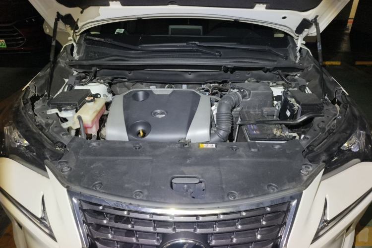 Used Lexus NX 2020 200 Front-Wheel Drive Freeline Edition China VI Standard Engine Bay