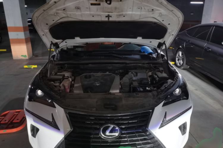 Used Lexus NX 2020 200 Front-Wheel Drive Freeline Edition China VI Standard Engine Bay
