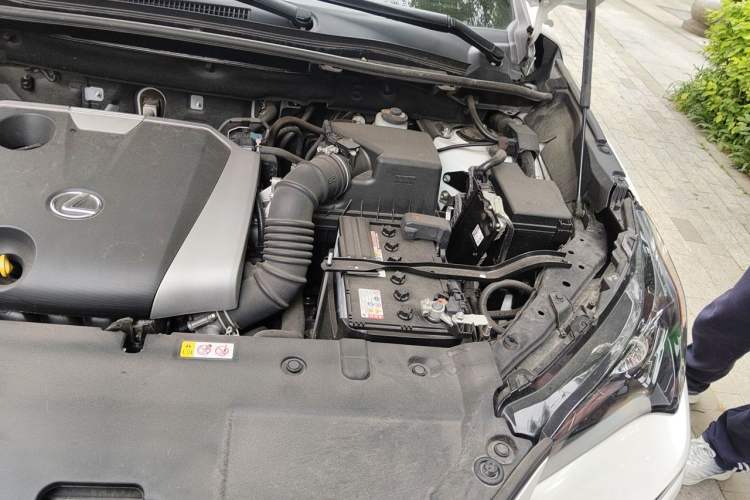 Used Lexus NX 2020 200 Front-Wheel Drive Vmotion Edition China VI Standard Engine Bay Left