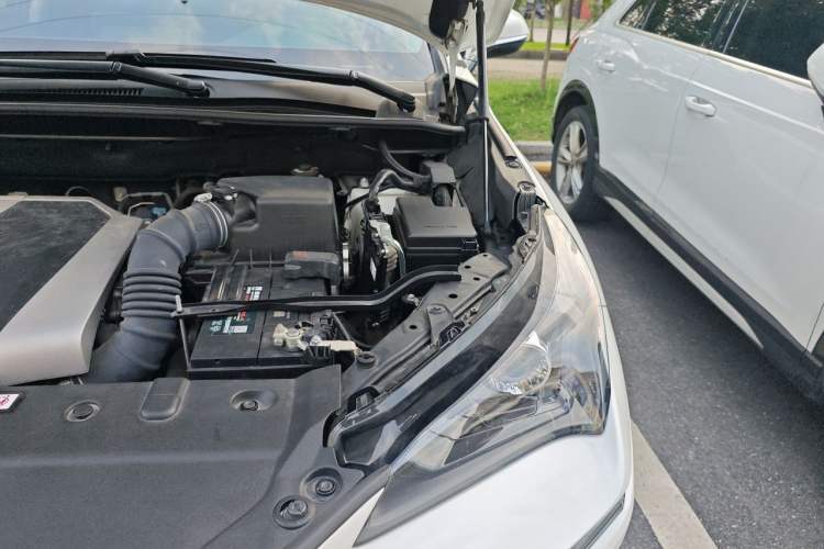 Used Lexus NX 2020 200 Front-Wheel Drive Freeline Edition China VI Standard Engine Bay Left