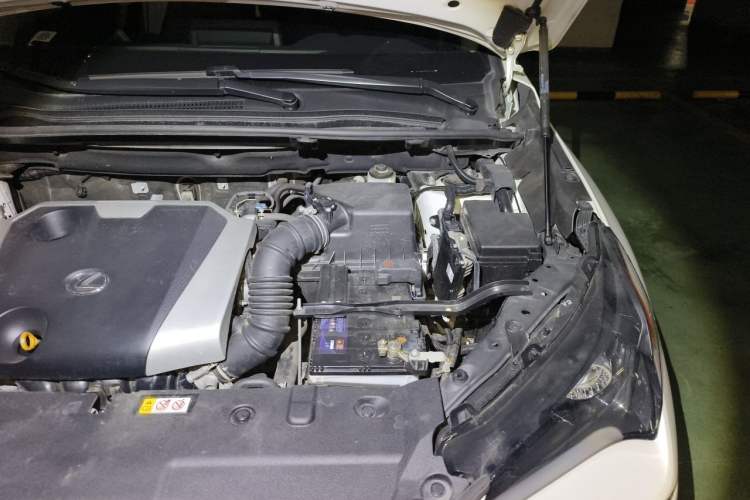 Used Lexus NX 2020 200 Front-Wheel Drive Freeline Edition China VI Standard Engine Bay Left