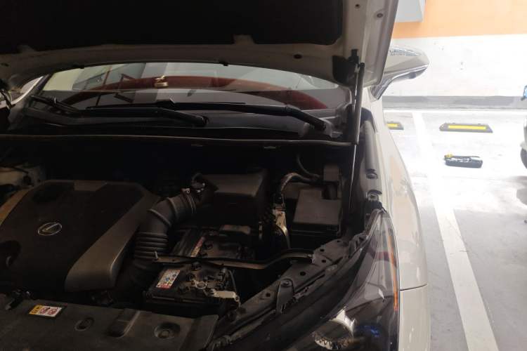 Used Lexus NX 2020 200 Front-Wheel Drive Freeline Edition China VI Standard Engine Bay Left