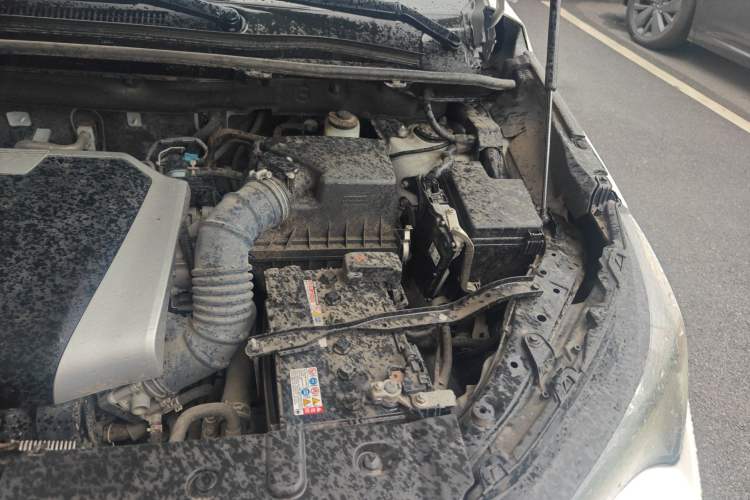 Used Lexus NX 2020 200 Front-Wheel Drive Freeline Edition China VI Standard Engine Bay Left