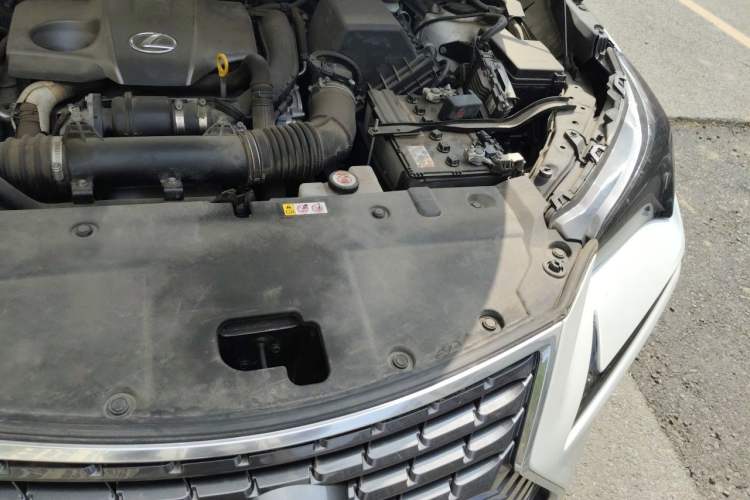 Used Lexus NX 2020 300 Front-Wheel-Drive Frenza Edition China V Standard Engine Bay Left